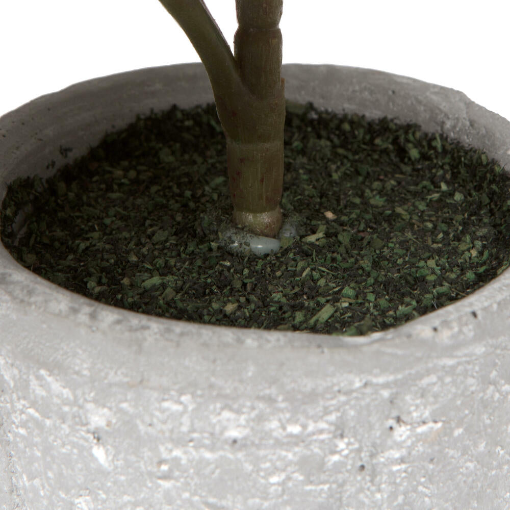 Vickerman 11" Red and Green Artificial Fiddle Leaf Fig Plant in Pot.