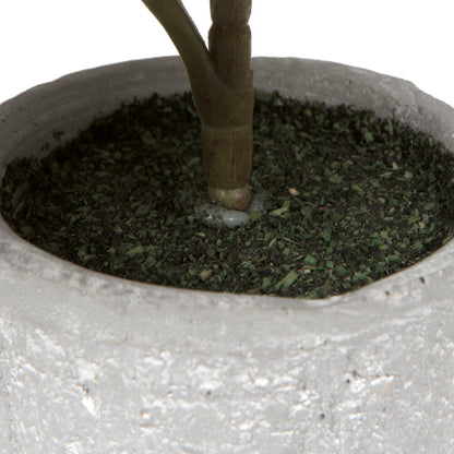 Vickerman 11" Red and Green Artificial Fiddle Leaf Fig Plant in Pot.