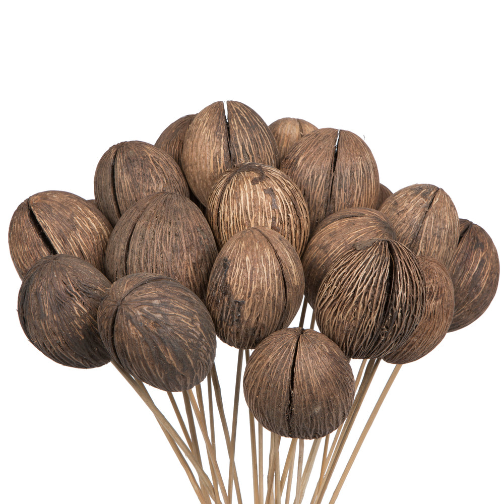 Vickerman Natural Botanicals 20" Mintola Ball on Stem. Includes 25 Stems per Pack.