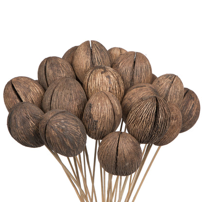 Vickerman Natural Botanicals 20" Mintola Ball on Stem. Includes 25 Stems per Pack.