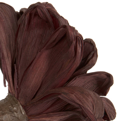 Vickerman Natural Botanicals 6" Brown Maize Dahlia on 18" wire stem- 6 stem/bag. Dried and preserved.