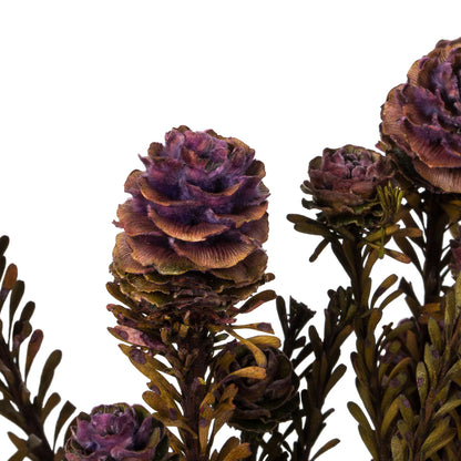 Vickerman 12" Violet Tortum Bundle Female Preserved
