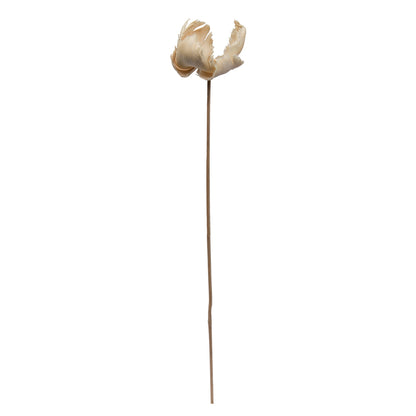 Vickerman Natural Botanicals 2.75" Palm Cap White Wash on Stem. Includes 25 pieces per Pack.