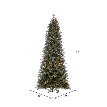 Vickerman 5.5' x 36" Frosted Douglas Fir Artificial Pre-Lit Christmas Tree Warm White LED Mini Lights.