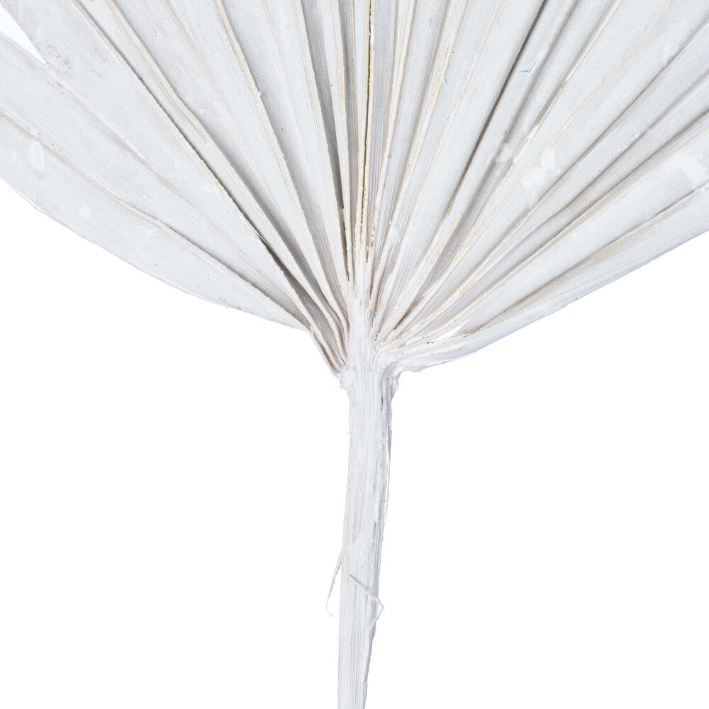 Vickerman Natural Botanicals 20" White Washed Palm Sun Stem. Includes 12 Pieces per Bunch.