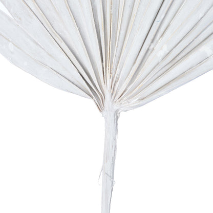 Vickerman Natural Botanicals 20" White Washed Palm Sun Stem. Includes 12 Pieces per Bunch.