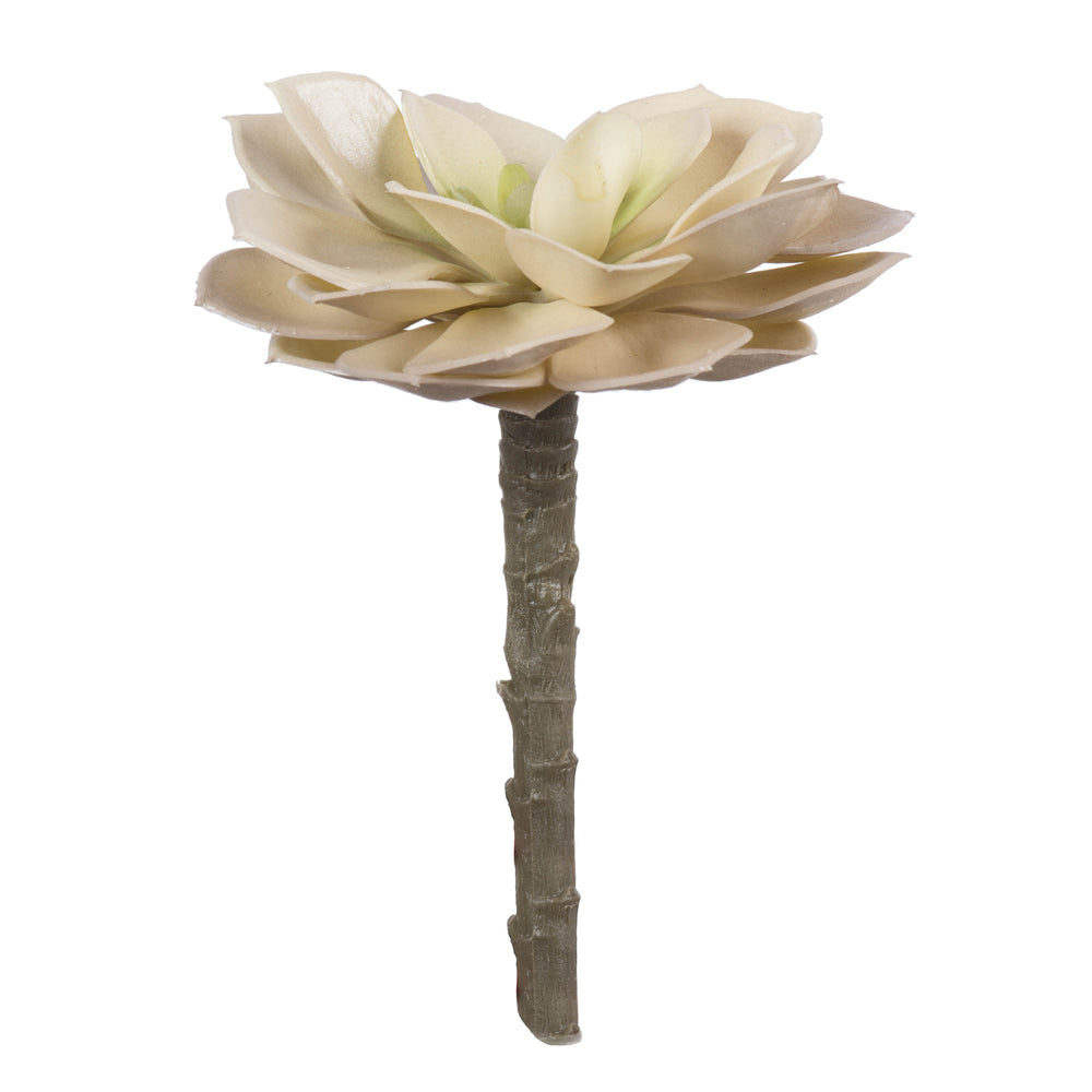 Vickerman 5" Artificial Succulent Pick Set of 4