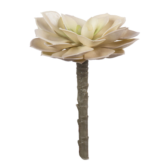 Vickerman 5" Artificial Succulent Pick Set of 4