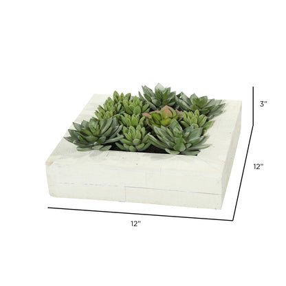 Vickerman 12"x12" Artificial Green Succulent Arrangement.