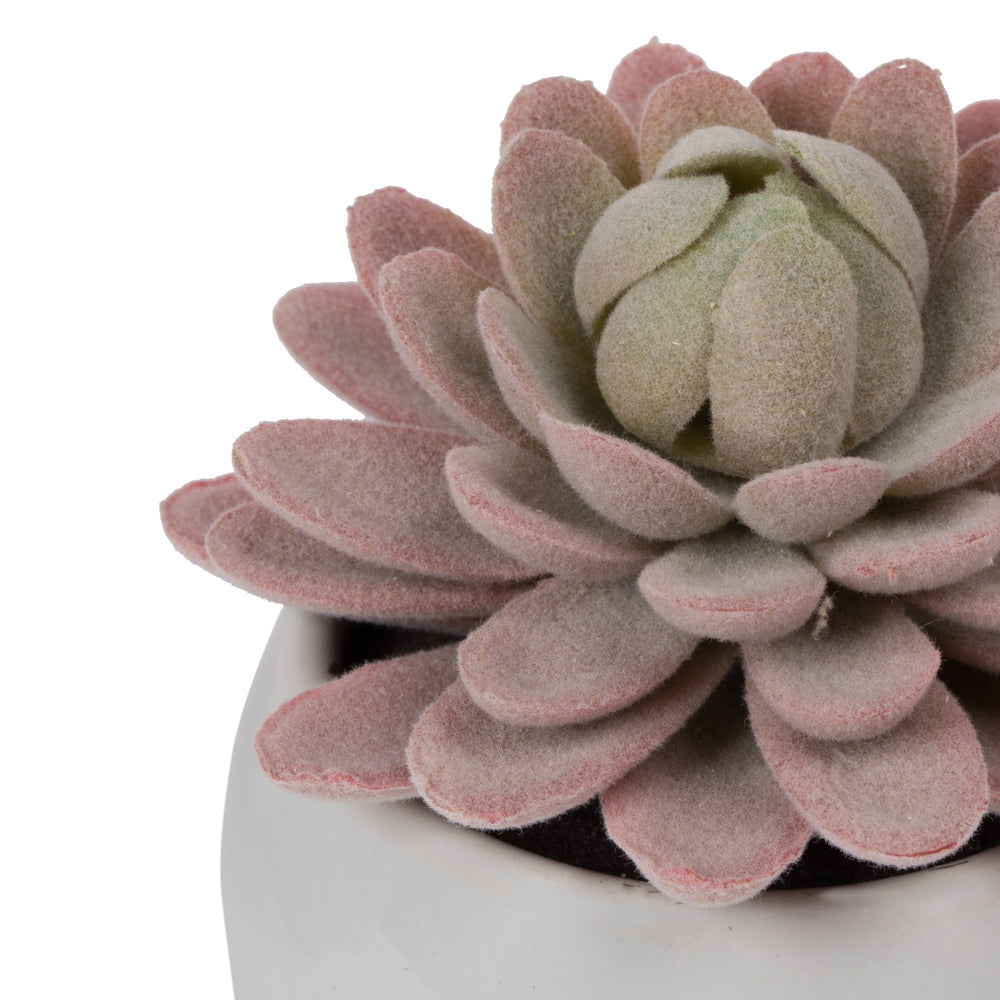 Vickerman 3.5" Artificial Green Succulents Assorted Set in Containers 4/pk
