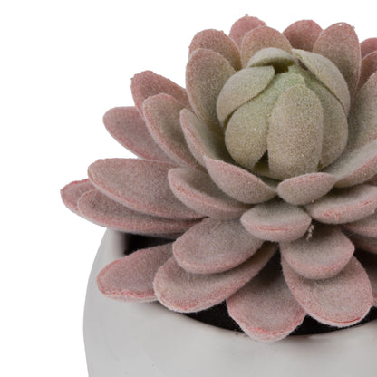 Vickerman 3.5" Artificial Green Succulents Assorted Set in Containers 4/pk