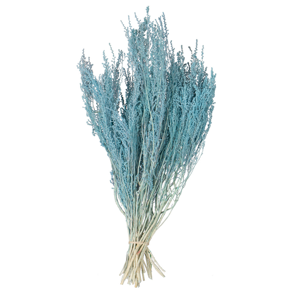 Vickerman 14-18" Baby Blue Stoebe Bundle.  Comes 3.5 oz per bundle.