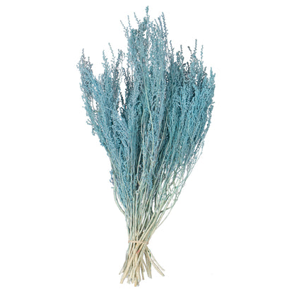 Vickerman 14-18" Baby Blue Stoebe Bundle.  Comes 3.5 oz per bundle.