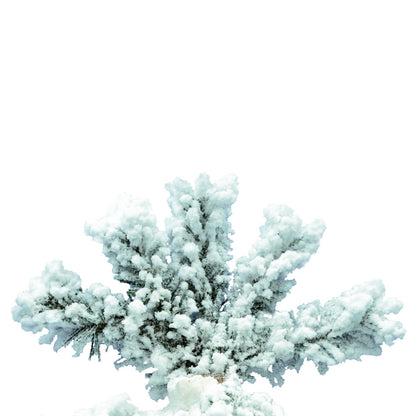 Vickerman 6' Flocked Spruce Artificial Christmas Tree Unlit