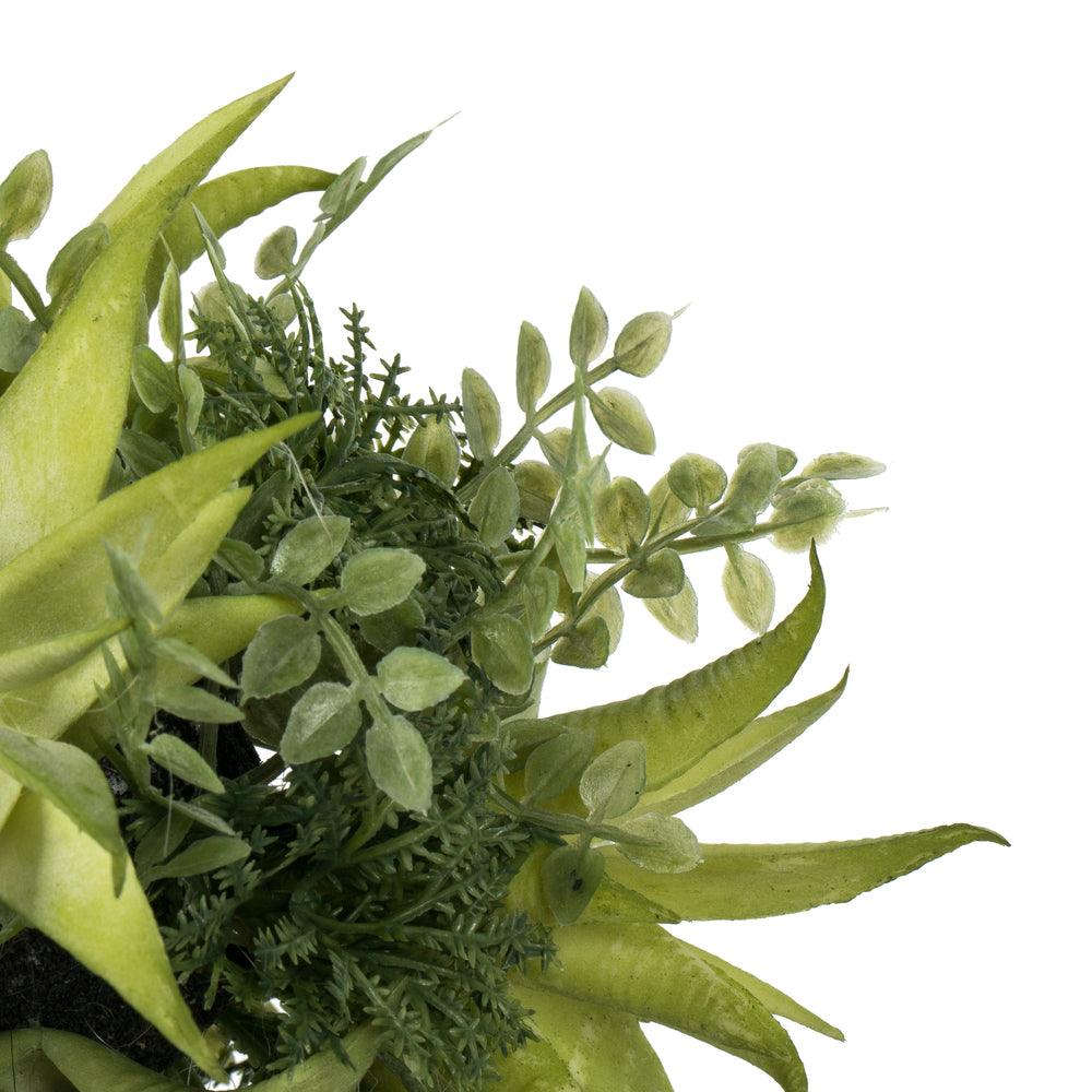 Vickerman 5" Artificial Mixed Variety Green Succulent Ball.