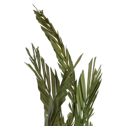 Vickerman 40-48" Foliage Green Coco Palms - Twisted 6 stems Dried