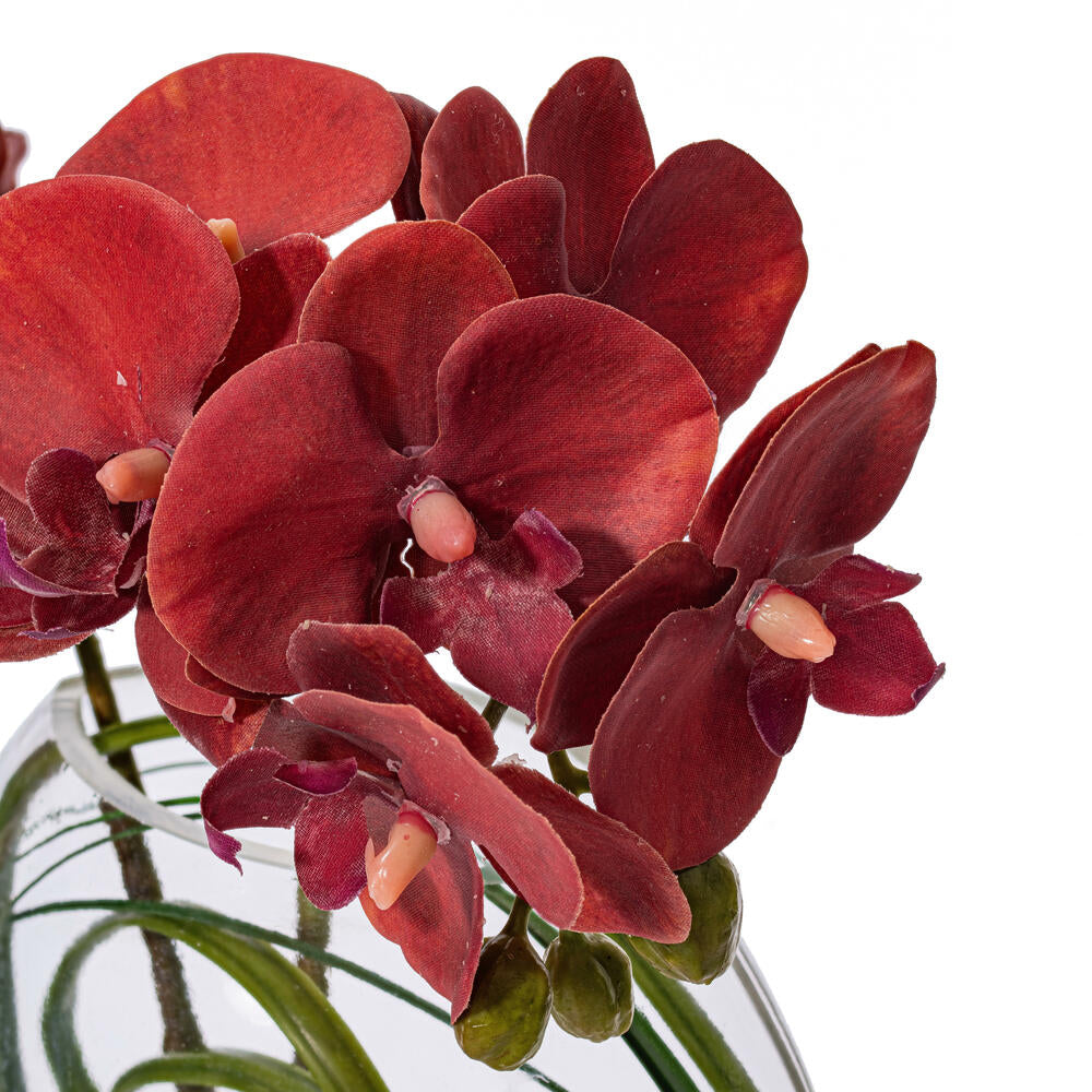 Vickerman 9.8" Artificial Red/Purple Butterfly Orchid In Glass Pot.