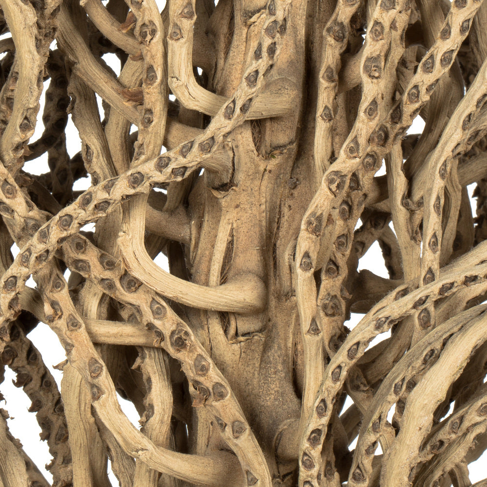 Vickerman 36-40" Natural Medusa Branch - medium 1 piece Dried