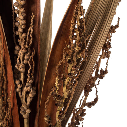 Vickerman 36" Natural Bahia Spears with Seeds 2 pack Dried