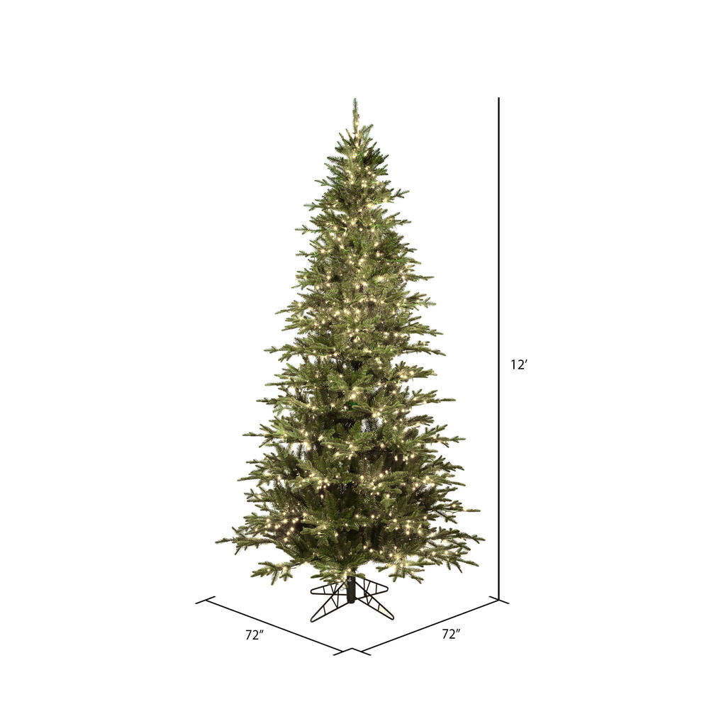 Vickerman 12' x 72" Kamas Fraser Fir Tree Warm White Low Voltage 3MM LED Lights.