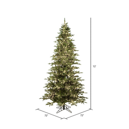 Vickerman 12' x 72" Kamas Fraser Fir Tree Warm White Low Voltage 3MM LED Lights.