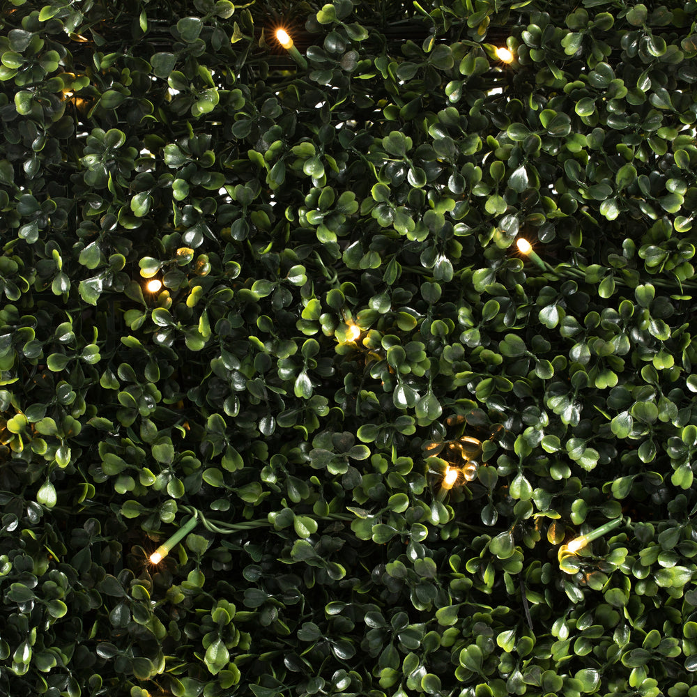 Vickerman 20" Artificial Boxwood Cube with 100 Warm White LED Lghts.
