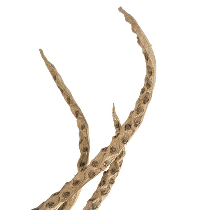 Vickerman 50-60" Natural Medusa Branch - long 1 piece Dried
