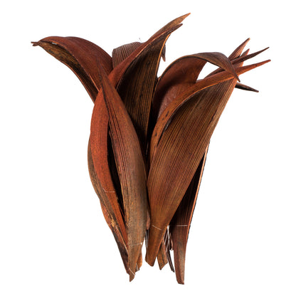 Vickerman 6-12" Dark Brown Palm Paddles Includes 32-37 pieces Dried