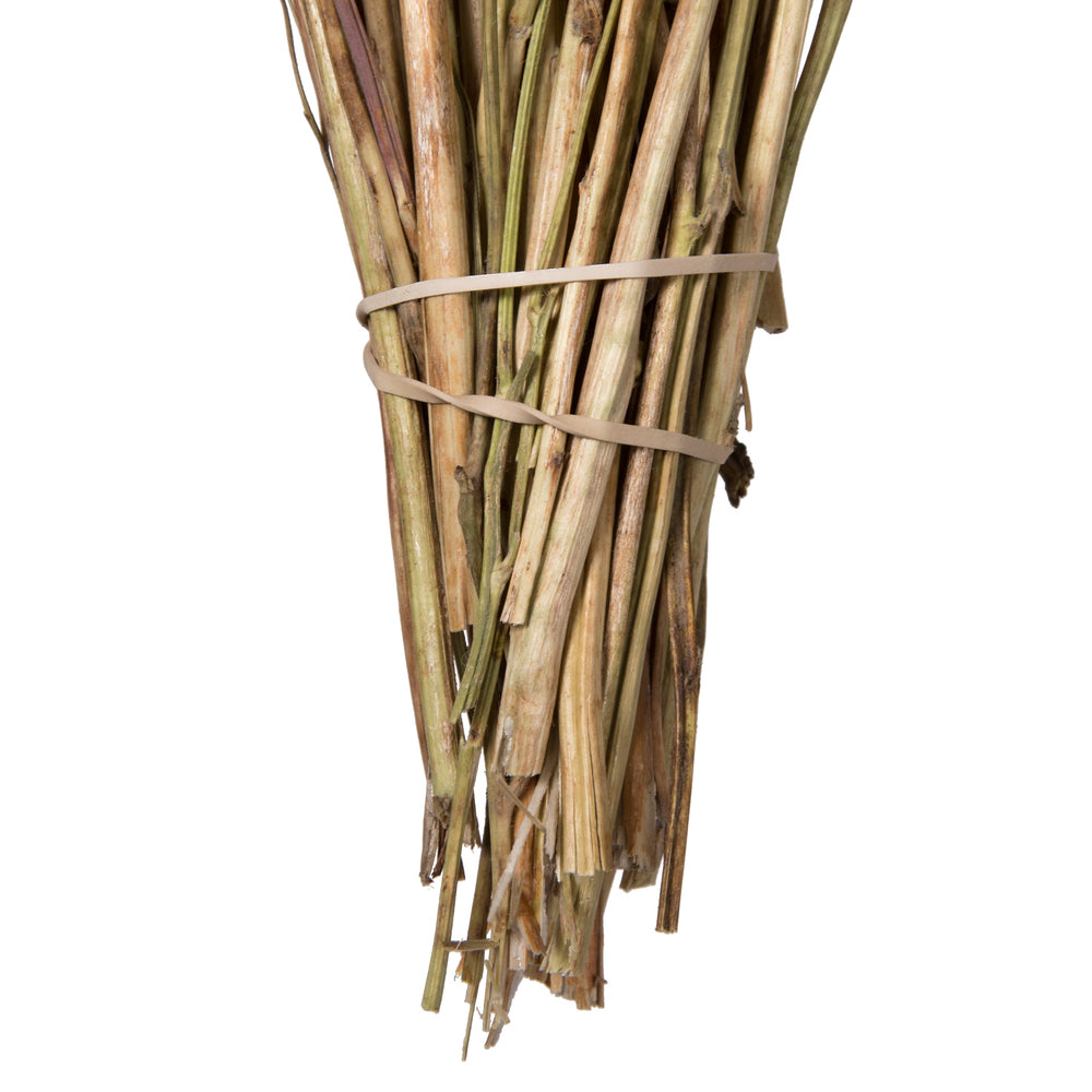 Vickerman Natural Botanicals 15-20" Poppy Pods 4 oz Bunch.