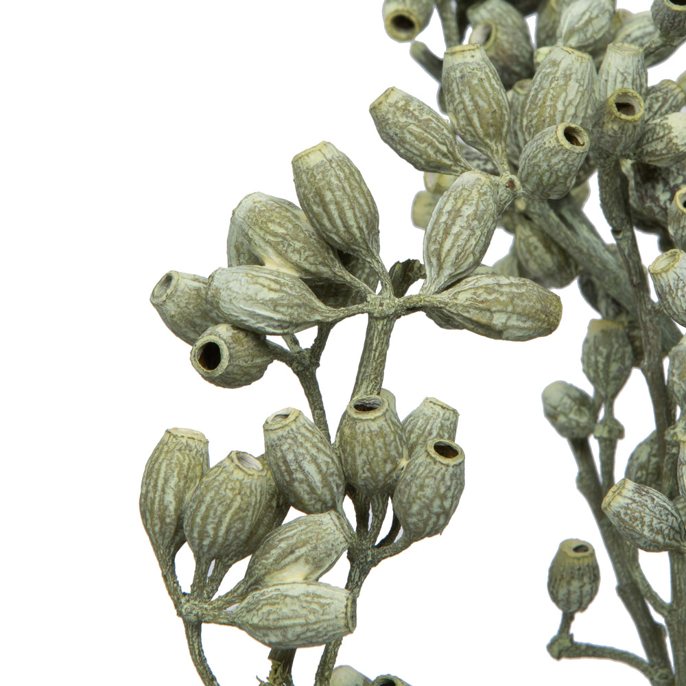 Vickerman Natural Botanicals 12" x 1-3" Eucalyptus Clusters on stem green frosted 16 stems per unit