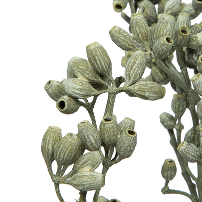 Vickerman Natural Botanicals 12" x 1-3" Eucalyptus Clusters on stem green frosted 16 stems per unit