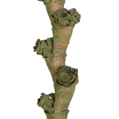 Vickerman 40-48" Green Ladder Branches. Includes 7 Extra Large Straight Branches Dried