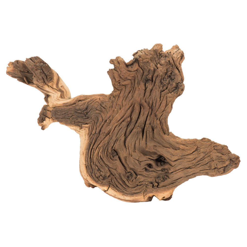 Vickerman 6-12" Natural Driftwood (Petrified)- Bulk Approximately 30 Pieces per Case Dried