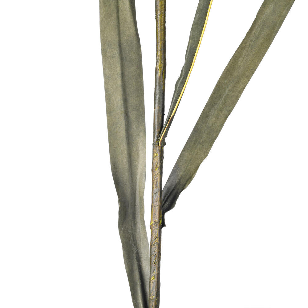 Vickerman 51" Light Green Artificial Reed Spray 2 per bundle.