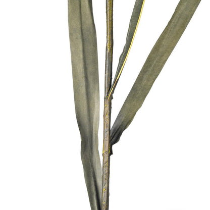 Vickerman 51" Light Green Artificial Reed Spray 2 per bundle.
