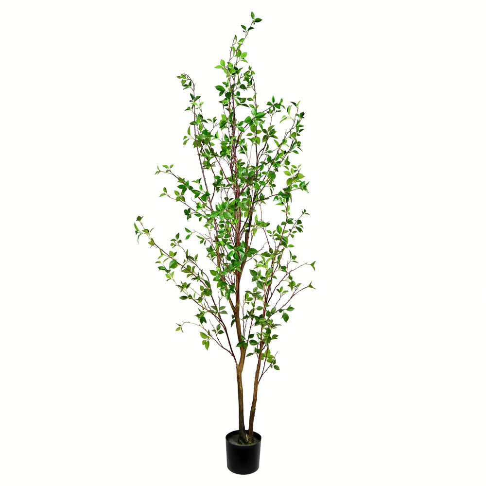 Vickerman 84" Artificial Potted Baby Leaf Tree in Black Planters Pot.