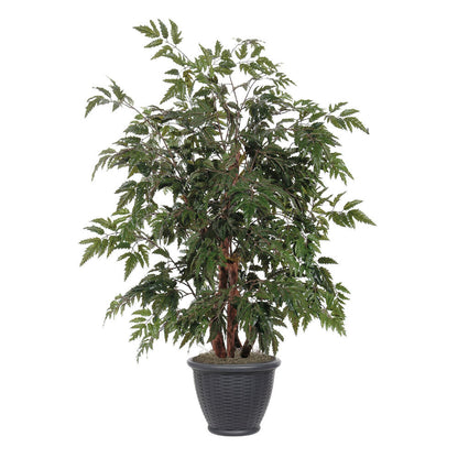 Vickerman 4' Artificial Ming Aralia Bush Gray Round Plastic Container.