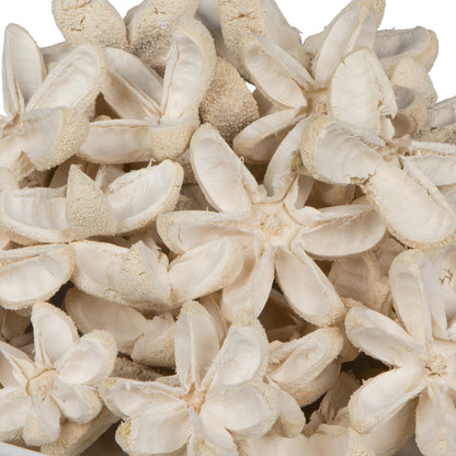 Vickerman Natural Botanicals 2"-3" Bullet Flower Bleached 50 pcs/unit. Includes 50 pieces per unit.
