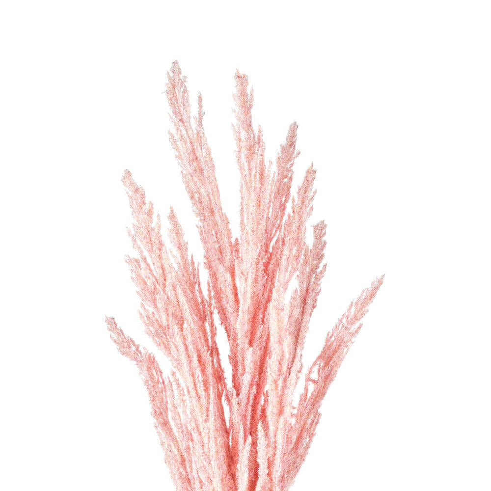 Vickerman 51" Pink Artificial Reed Spray 2 per bundle.