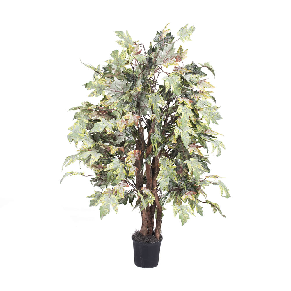 Vickerman 4' Artificial Frosted Maple Extra Full Bush Black Plastic Pot.