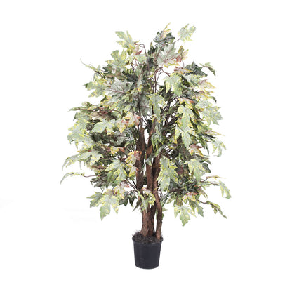 Vickerman 4' Artificial Frosted Maple Extra Full Bush Black Plastic Pot.