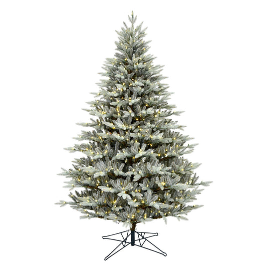 Vickerman 14' x 88" Douglas Blue Fir Artificial Christmas Tree Warm White Dura-lit LED Lights