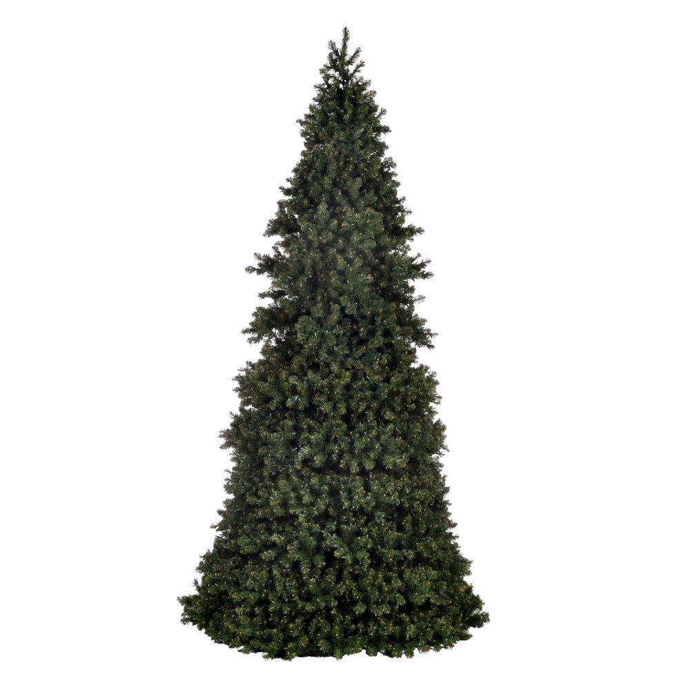Vickerman 20' x 92" Artificial Pre-Lit Slim Grand Teton Frame Tree with LED Warm White 5mm Single Mold Lights