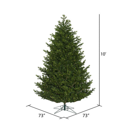 Vickerman 10' x 73" Eagle Fraser Full Artificial Christmas Tree Warm White Dura-lit LED Lights