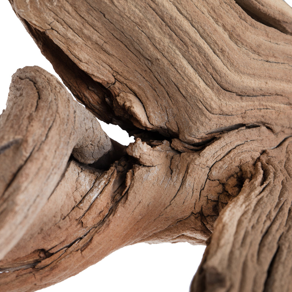Vickerman Ghostwood Manzanita Sand Blasted 24" Dried