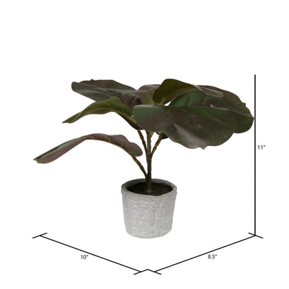 Vickerman 11" Red and Green Artificial Fiddle Leaf Fig Plant in Pot.