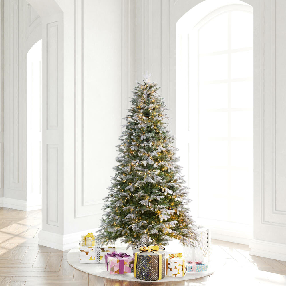 Vickerman 6.5' x 50" Frosted Douglas Fir Artificial Pre-Lit Christmas Tree Warm White 3mm LED Lights.