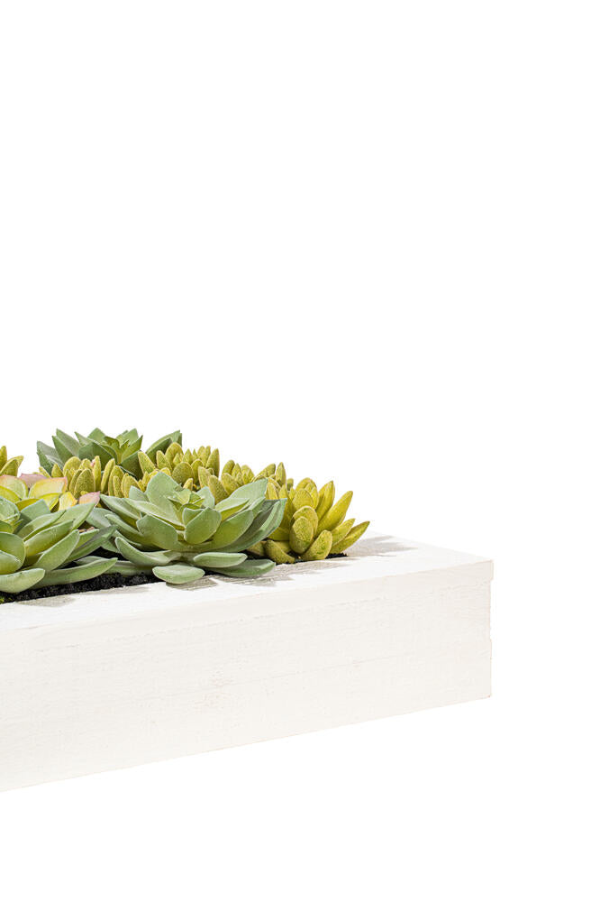 Vickerman 12"x12" Artificial Green Succulent Arrangement.