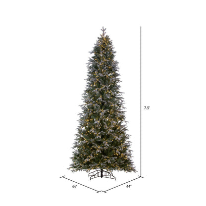 Vickerman 7.5' x 44" Frosted Douglas Fir Artificial Pre-Lit Christmas Tree Warm White 3mm LED Lights.