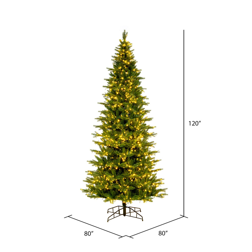 Vickerman 10' x 56" Balsam Spruce Slim Artificial Christmas Tree 3mm LED Color Changing Lights